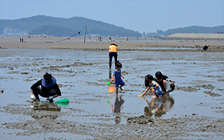 선도리&middot;월하성 갯벌체험